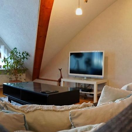 Grosse, Helle Wohnung Fuer Bis Zu 6 Personen Weinheim Extérieur photo